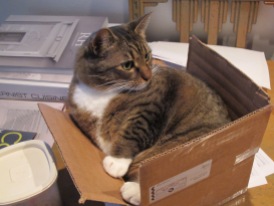 Kush in a box